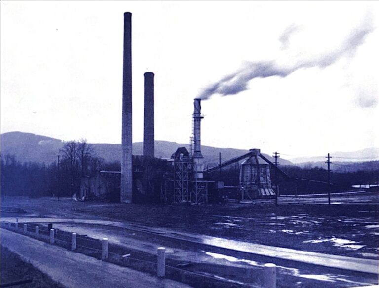 The Music and Trees of Twin Peaks