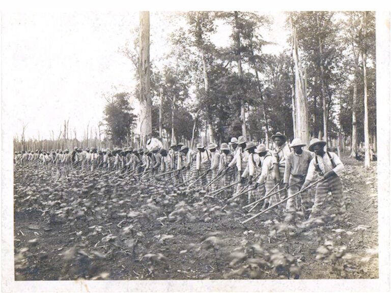 From Plantations to Corporations: The Business of Forced Labor 